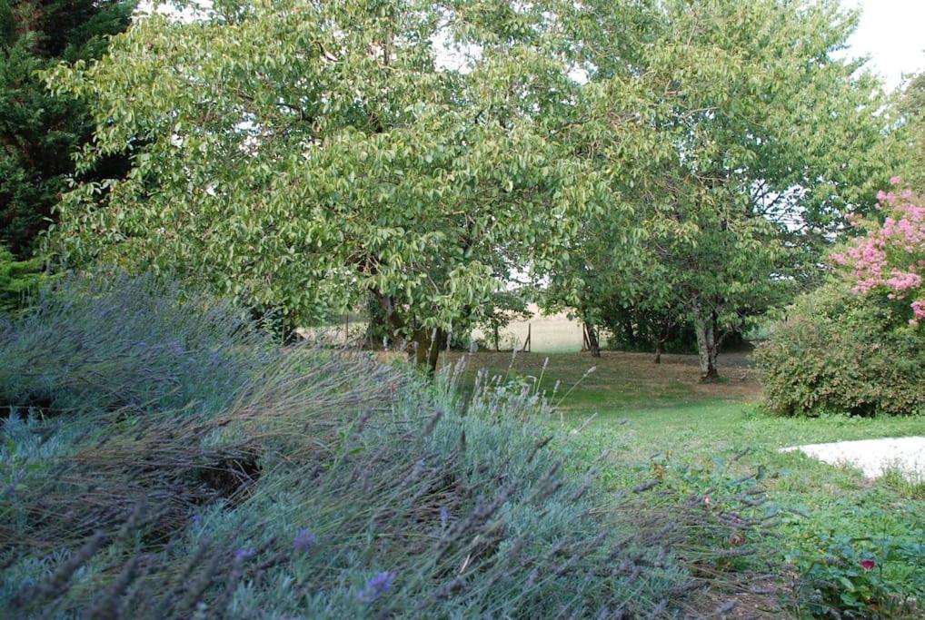 Uniquely Private Holiday Villa In The Charente Puyreaux Extérieur photo